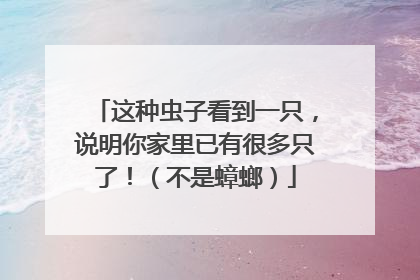 这种虫子看到一只，说明你家里已有很多只了！（不是蟑螂）