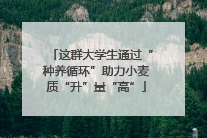 这群大学生通过“种养循环”助力小麦质“升”量“高”