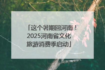 这个暑期回河南！2025河南省文化旅游消费季启动