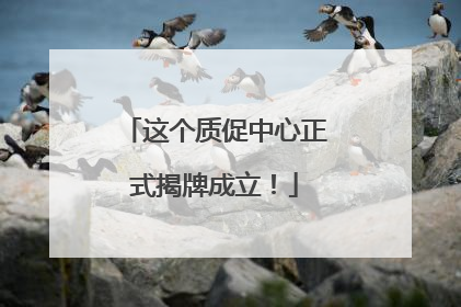 这个质促中心正式揭牌成立！