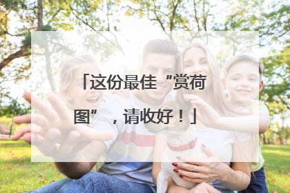 这份最佳“赏荷图”，请收好！