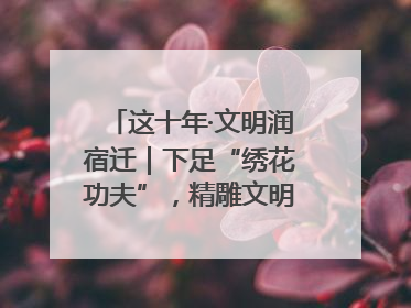 这十年·文明润宿迁｜下足“绣花功夫”，精雕文明城市品质