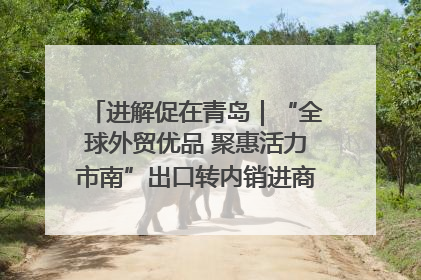 进解促在青岛｜“全球外贸优品 聚惠活力市南”出口转内销进商超专场活动启动