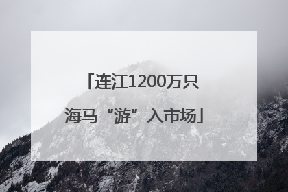连江1200万只海马“游”入市场