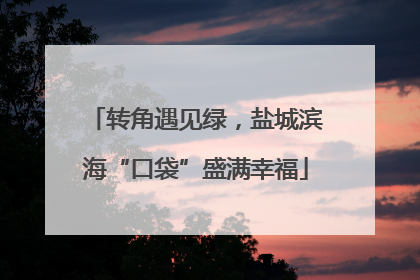 转角遇见绿，盐城滨海“口袋”盛满幸福