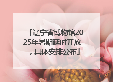 辽宁省博物馆2025年暑期延时开放，具体安排公布