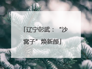 辽宁彰武：“沙窝子”焕新颜