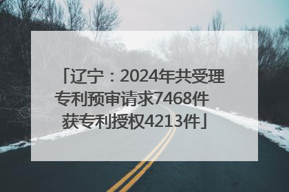 辽宁：2024年共受理专利预审请求7468件 获专利授权4213件