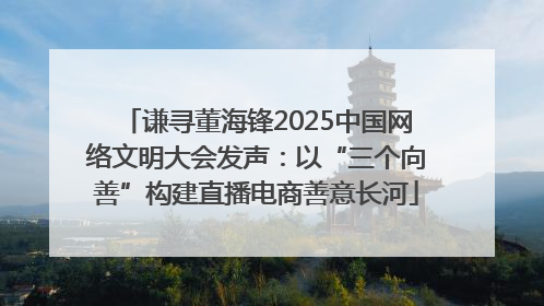 谦寻董海锋2025中国网络文明大会发声：以“三个向善”构建直播电商善意长河