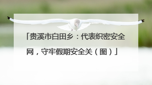 贵溪市白田乡：代表织密安全网，守牢假期安全关（图）