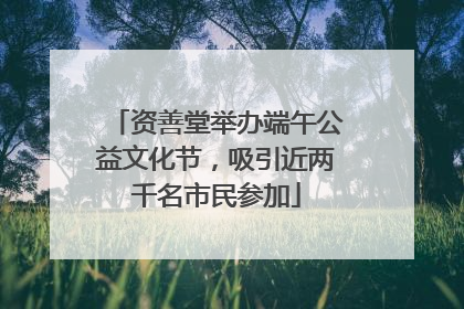 资善堂举办端午公益文化节，吸引近两千名市民参加