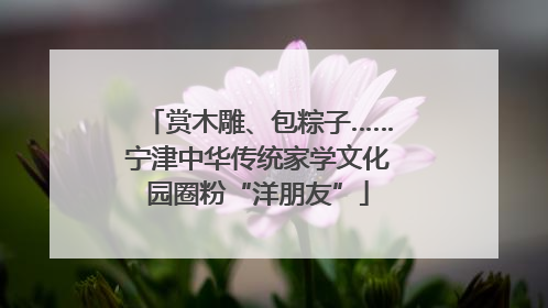 赏木雕、包粽子……宁津中华传统家学文化园圈粉“洋朋友”