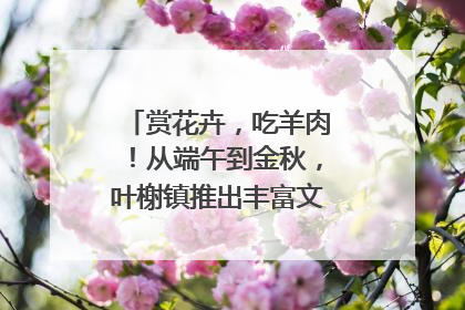 赏花卉，吃羊肉！从端午到金秋，叶榭镇推出丰富文旅活动邀您爽玩