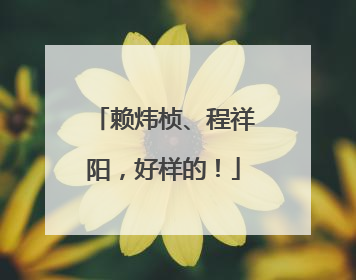 赖炜桢、程祥阳，好样的！