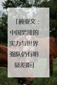 赖亚文：中国男排的实力与世界强队仍有明显差距