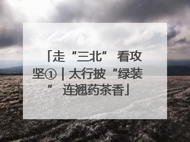 走“三北” 看攻坚①｜太行披“绿装” 连翘药茶香