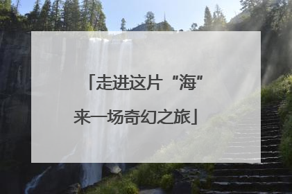 走进这片“海”来一场奇幻之旅