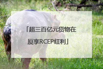 超三百亿元货物在厦享RCEP红利