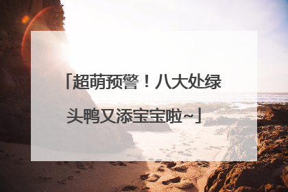 超萌预警！八大处绿头鸭又添宝宝啦~