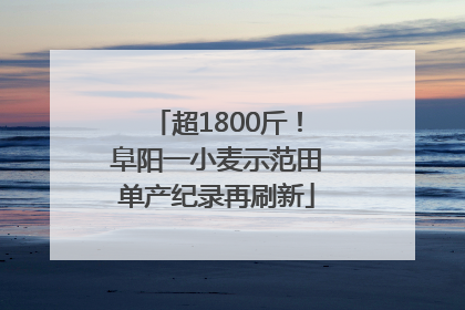超1800斤！阜阳一小麦示范田单产纪录再刷新