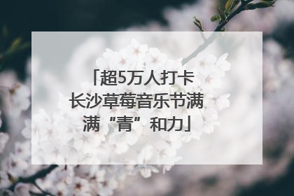 超5万人打卡 长沙草莓音乐节满满“青”和力