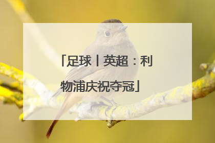 足球丨英超：利物浦庆祝夺冠