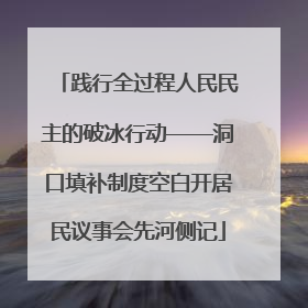 践行全过程人民民主的破冰行动——洞口填补制度空白开居民议事会先河侧记