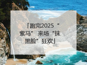 跑完2025“紫马” 来场“抹黑脸”狂欢