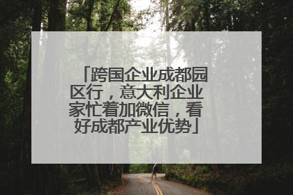 跨国企业成都园区行，意大利企业家忙着加微信，看好成都产业优势