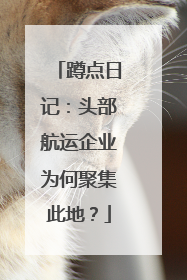 蹲点日记：头部航运企业为何聚集此地？