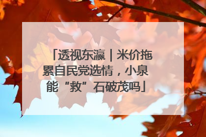 透视东瀛｜米价拖累自民党选情，小泉能“救”石破茂吗