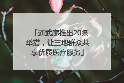 通武廊推出20条举措，让三地群众共享优质医疗服务