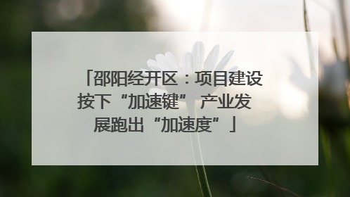 邵阳经开区：项目建设按下“加速键” 产业发展跑出“加速度”