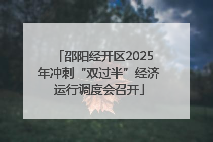 邵阳经开区2025年冲刺“双过半”经济运行调度会召开