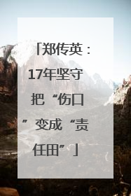 郑传英：17年坚守 把“伤口”变成“责任田”