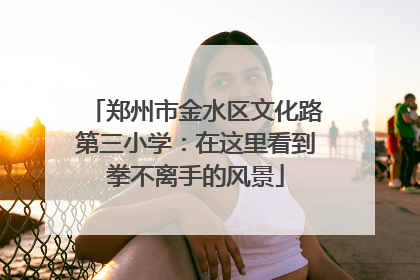 郑州市金水区文化路第三小学：在这里看到拳不离手的风景
