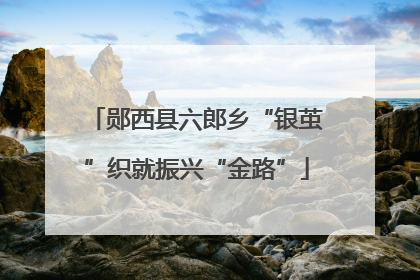 郧西县六郎乡“银茧”织就振兴“金路”