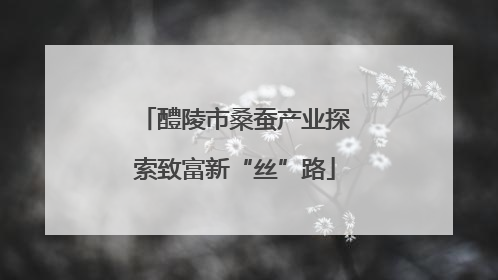 醴陵市桑蚕产业探索致富新“丝”路