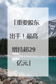 重要股东出手！最高增持超29亿元
