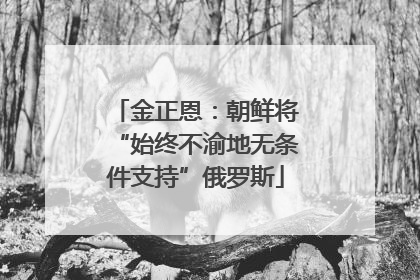 金正恩：朝鲜将“始终不渝地无条件支持”俄罗斯