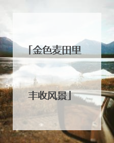 金色麦田里丰收风景