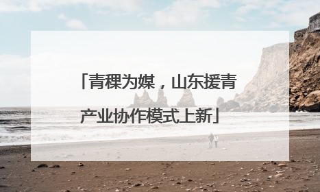 青稞为媒，山东援青产业协作模式上新