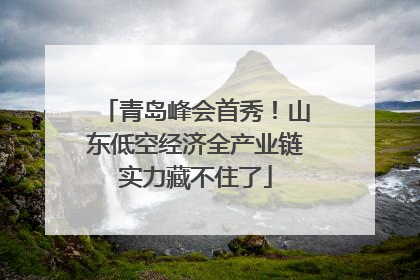 青岛峰会首秀！山东低空经济全产业链实力藏不住了