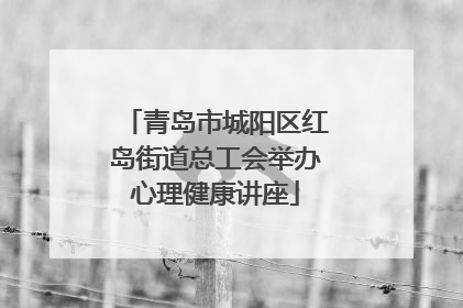 青岛市城阳区红岛街道总工会举办心理健康讲座