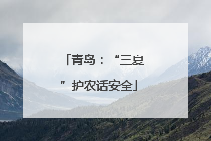 青岛：“三夏”护农话安全