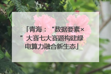 青海：“数据要素×”大赛七大赛题构建绿电算力融合新生态