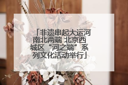 非遗串起大运河南北两端 北京西城区“河之端”系列文化活动举行