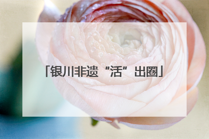 银川非遗“活”出圈
