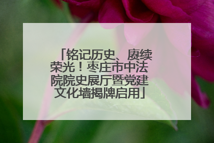 铭记历史、赓续荣光！枣庄市中法院院史展厅暨党建文化墙揭牌启用