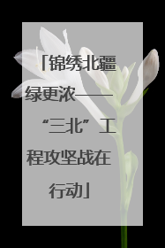 锦绣北疆绿更浓——“三北”工程攻坚战在行动
